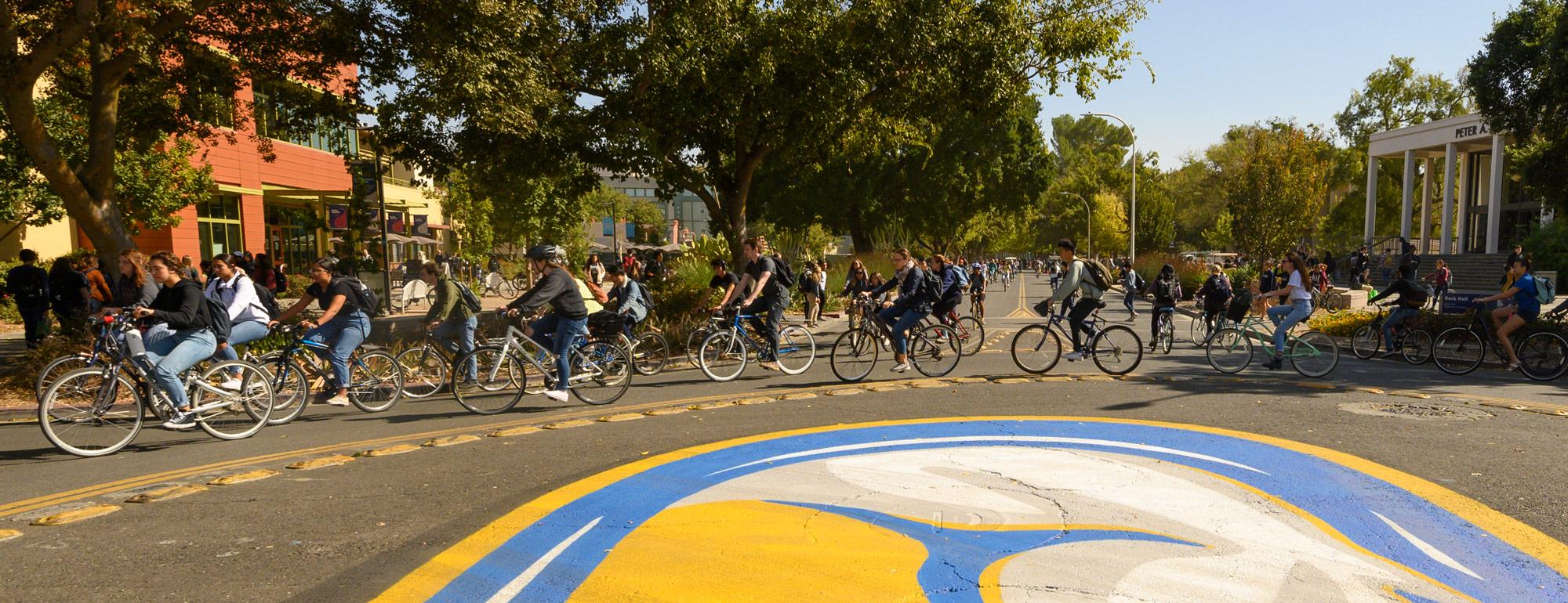 students riding on bicycles around the bike circle