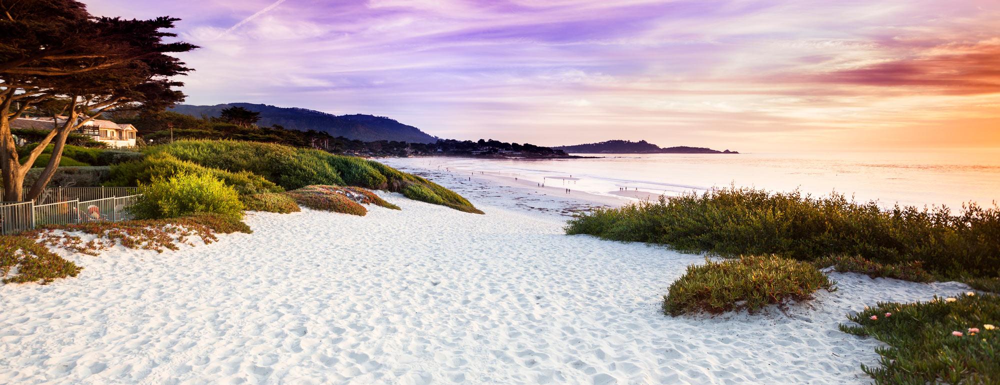 A white sand beach at Carmel by the Sea, a three hour drive from UC Davis.