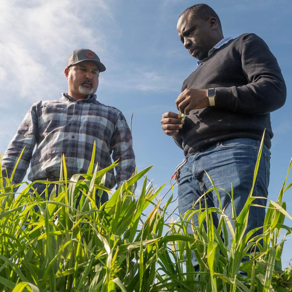 two farmers in a field
