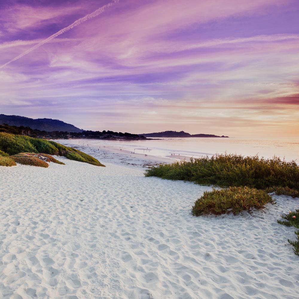 A white sand beach near Carmel, ca and about 3 hours from UC Davis