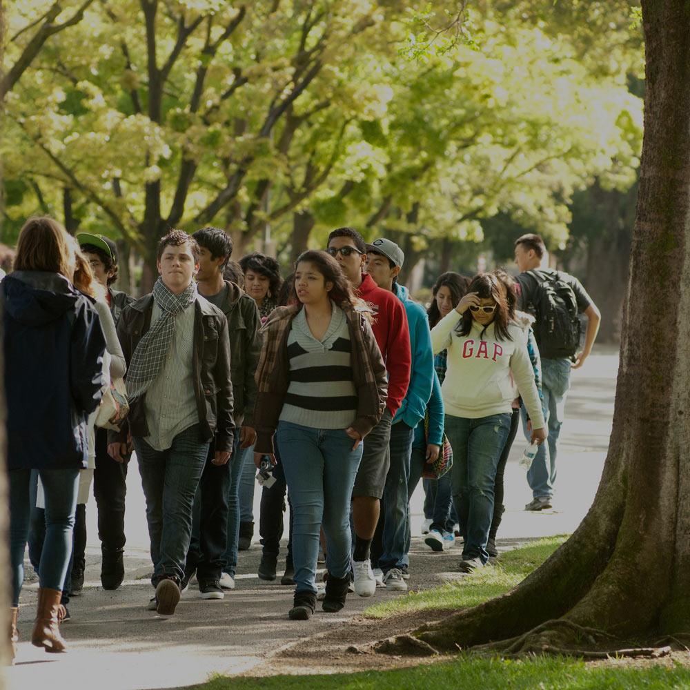 A UC Davis student tour guide leads a large group through campus