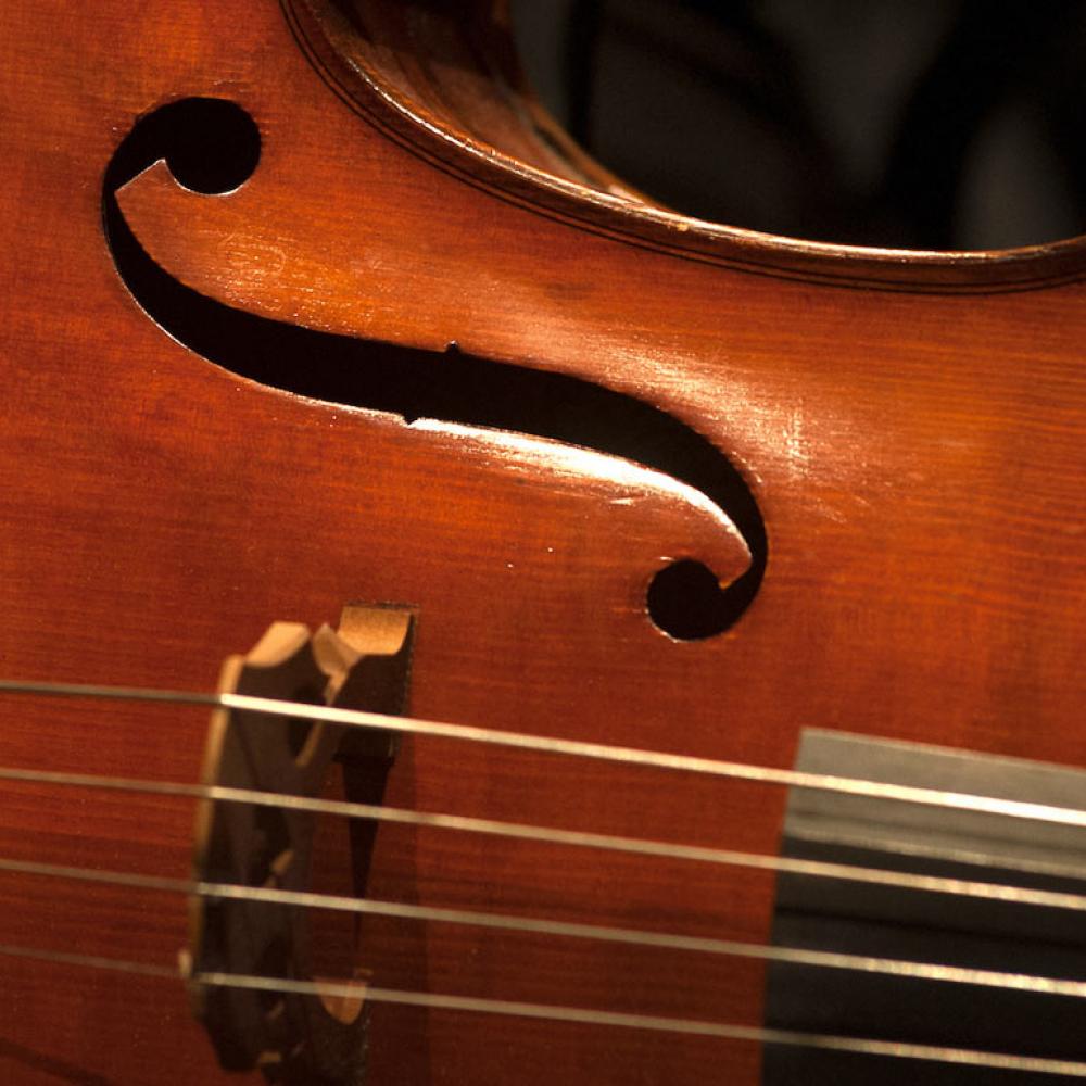 A string instrument close up