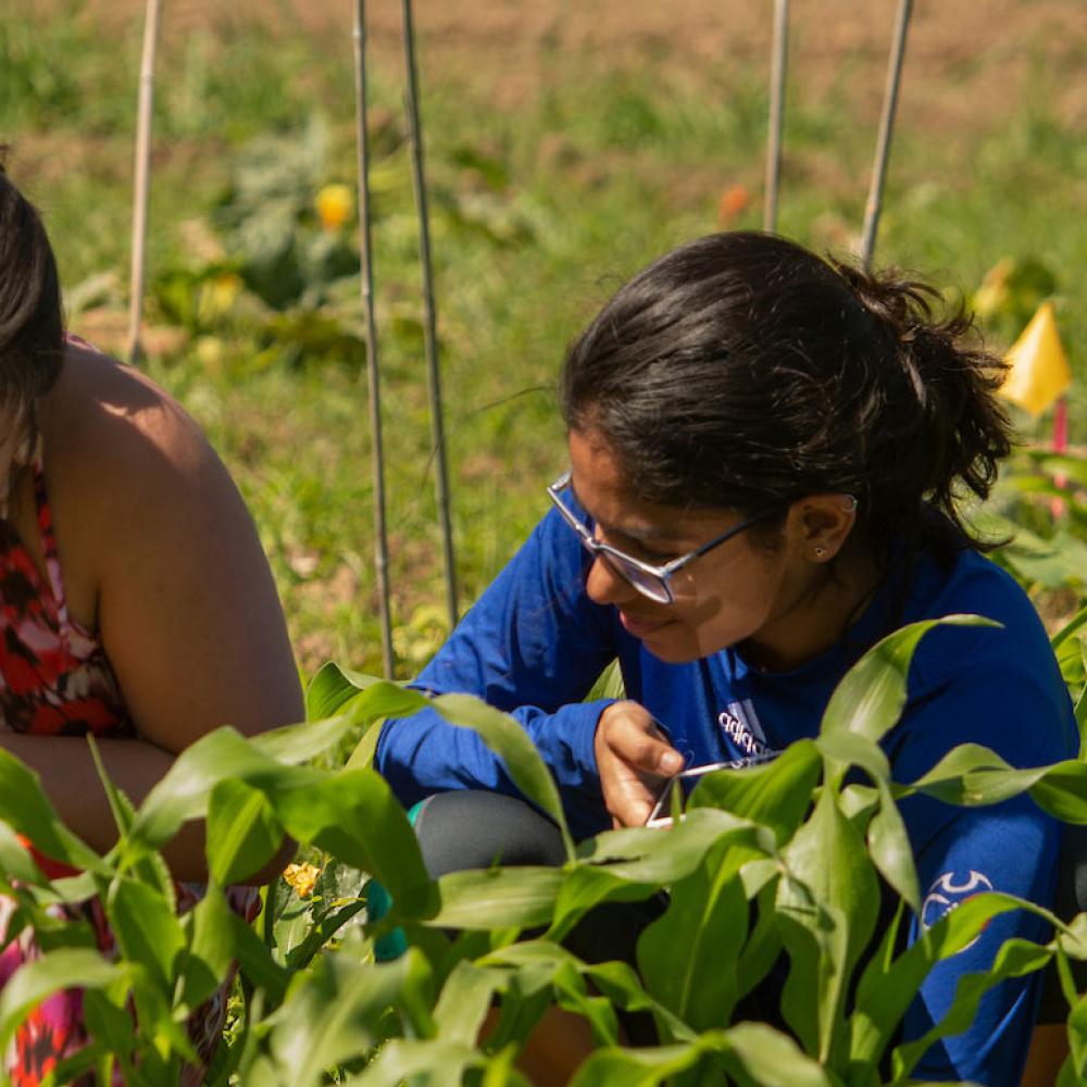 Two female students evaluate their crops 