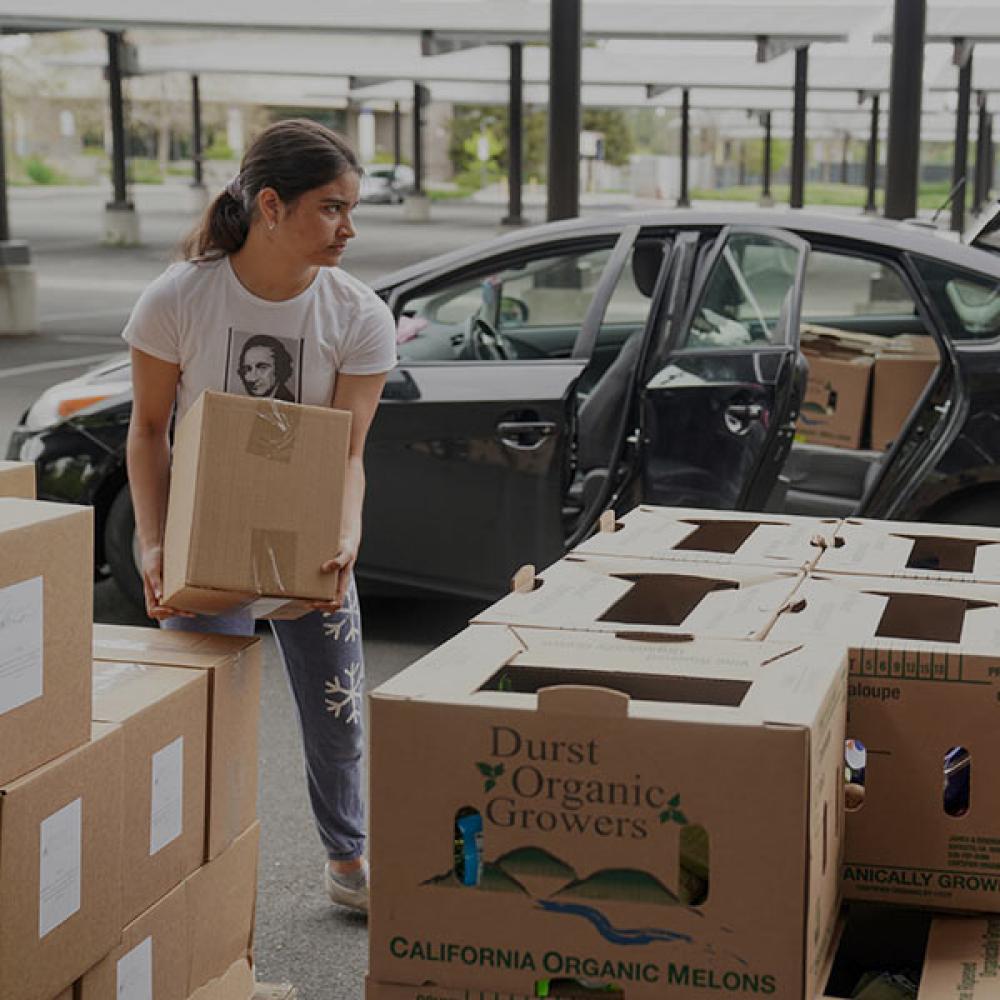 student volunteers at uc davis