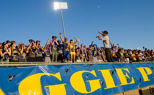 stadium student fans cheering