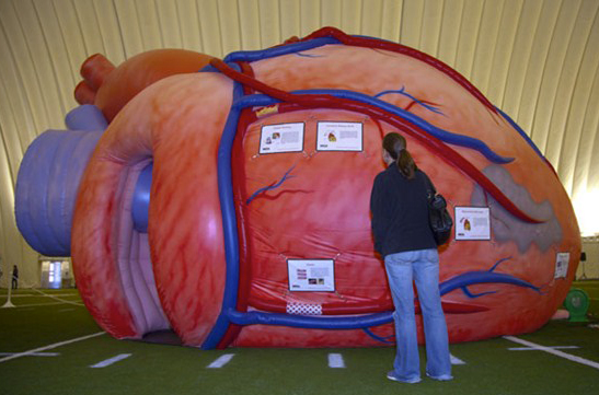 MEGA Heart inflatable, exterior
