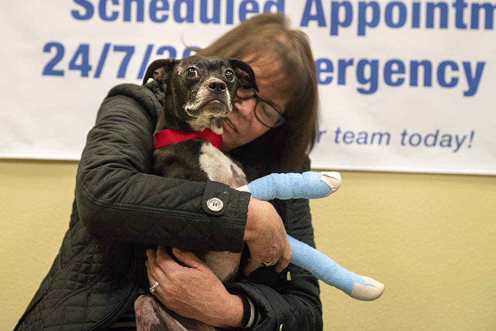 Owner and dog from Camp Fire