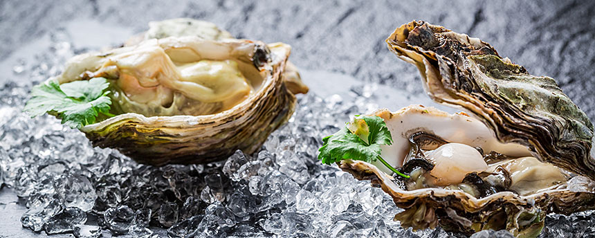 Oysters on ice