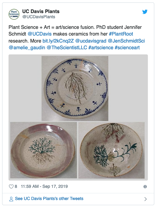 Plants on plates