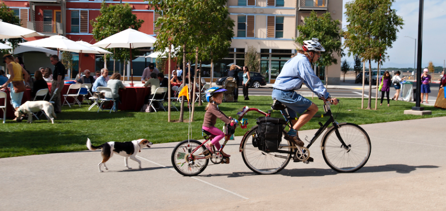 Man on bike towing a child bike carrier with dog following